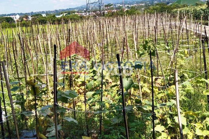 Lahan Investasi Lokasi Junrejo Batu SHM Lahan Investasi Lokasi Junrejo Batu SHM