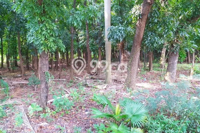 Tanah Kavling Dijual di Pegangsaan, Jakarta Utara dengan Luas Tanah 8000m2 Tanah Kavling Dijual di Pegangsaan, Jakarta Utara dengan Luas Tanah 8000m2