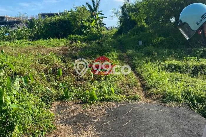 Tanah Siap Bangun Dijual di Badung Punya Luas 2475m2 Tanah Siap Bangun Dijual di Badung Punya Luas 2475m2
