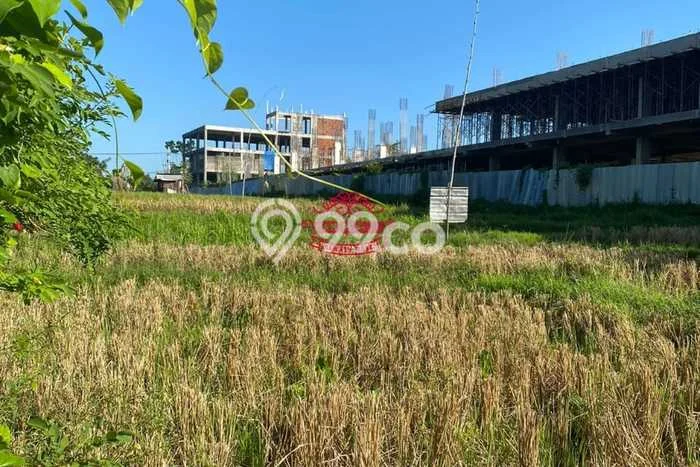 Tanah Siap Bangun Dijual di Badung Punya Luas 2475m2 Tanah Siap Bangun Dijual di Badung Punya Luas 2475m2