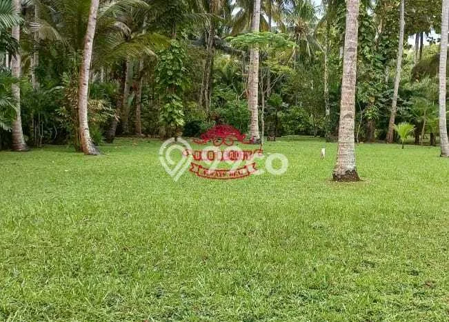 Lahan Kosong Dijual di Jembrana dengan Area 11800m2 Lahan Kosong Dijual di Jembrana dengan Area 11800m2