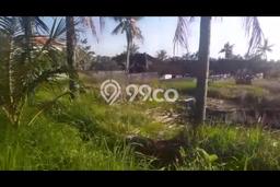 Lahan Dijual Lokasi Ubud, Gianyar dengan Luas Tanah 3100m2 dan Status SHM Lahan Dijual Lokasi Ubud, Gianyar dengan Luas Tanah 3100m2 dan Status SHM