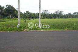 Tanah Dijual Lokasi Mengwi, Badung Luas 3925m2 Legalitas Aman Tanah Dijual Lokasi Mengwi, Badung Luas 3925m2 Legalitas Aman
