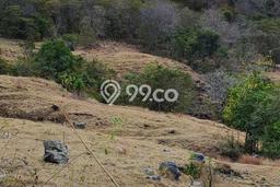 Lahan Dijual Lokasi Komodo, Manggarai Barat dengan Luas Tanah 17000m2 dan Status SHM Lahan Dijual Lokasi Komodo, Manggarai Barat dengan Luas Tanah 17000m2 dan Status SHM
