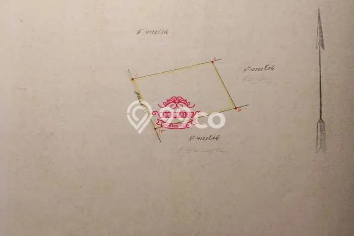 Tanah Dijual Lokasi Kintamani, Bangli dengan Luas Tanah 6000m2 dan Status SHM Tanah Dijual Lokasi Kintamani, Bangli dengan Luas Tanah 6000m2 dan Status SHM