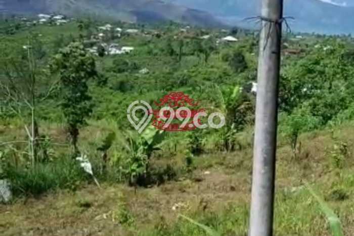Tanah Dijual Lokasi Kintamani, Bangli dengan Luas Tanah 6000m2 dan Status SHM Tanah Dijual Lokasi Kintamani, Bangli dengan Luas Tanah 6000m2 dan Status SHM