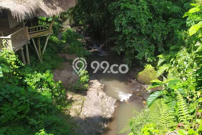 Sangat Dicari! Lahan Kosong Disewakan di Ubud, Gianyar Sangat Dicari! Lahan Kosong Disewakan di Ubud, Gianyar