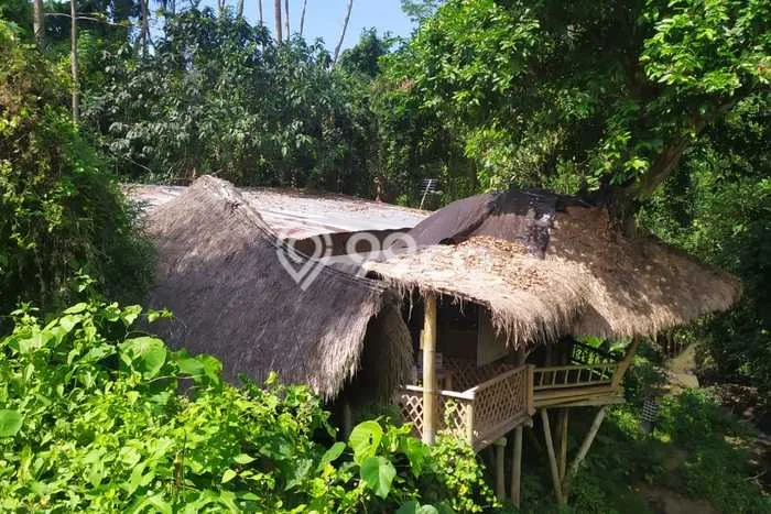 Sangat Dicari! Lahan Kosong Disewakan di Ubud, Gianyar Sangat Dicari! Lahan Kosong Disewakan di Ubud, Gianyar
