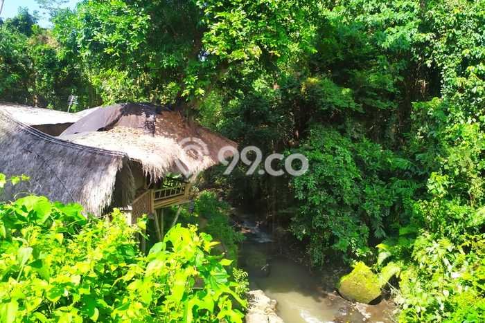 Sangat Dicari! Lahan Kosong Disewakan di Ubud, Gianyar Sangat Dicari! Lahan Kosong Disewakan di Ubud, Gianyar