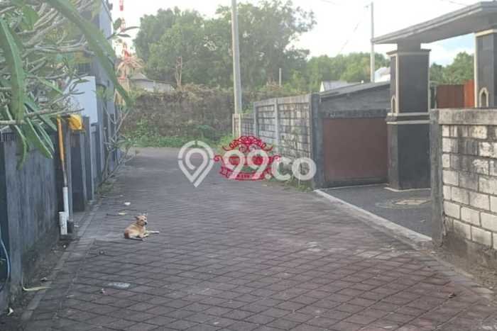 Tanah Investasi Dijual di Badung Punya Luas 1800m2 Tanah Investasi Dijual di Badung Punya Luas 1800m2