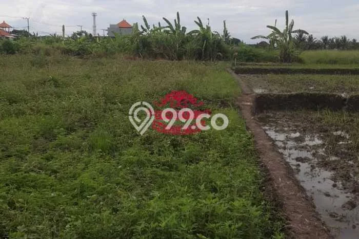 Tanah Siap Bangun Dijual di Tabanan Punya Luas 21300m2 Tanah Siap Bangun Dijual di Tabanan Punya Luas 21300m2