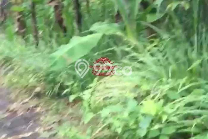 Untuk Dijual Tanah 1900m2 di Ungasan, Badung Untuk Dijual Tanah 1900m2 di Ungasan, Badung