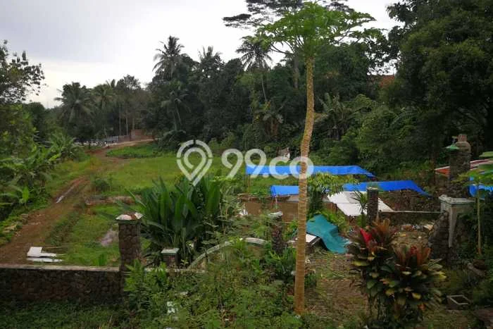 Tanah Dijual Lokasi Ciampea Bogor SHM Tanah Dijual Lokasi Ciampea Bogor SHM