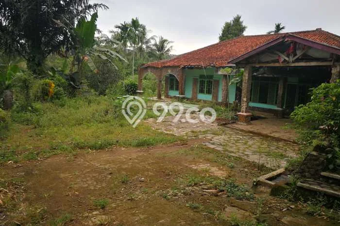Tanah Dijual Lokasi Ciampea Bogor SHM Tanah Dijual Lokasi Ciampea Bogor SHM