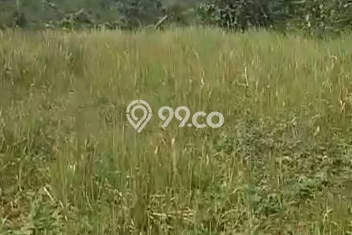 Jarang Ada! Tanah di Cigudeg Punya Luas 30000m2 - Jarang Ada! Tanah di Cigudeg Punya Luas 30000m2 -