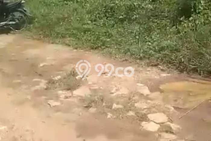 Jarang Ada! Tanah di Cigudeg Punya Luas 30000m2 - Jarang Ada! Tanah di Cigudeg Punya Luas 30000m2 -