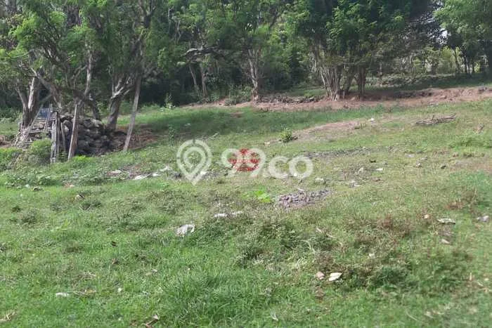 Untuk Dijual Tanah di Badung, Luas 5700m2 SHM Untuk Dijual Tanah di Badung, Luas 5700m2 SHM