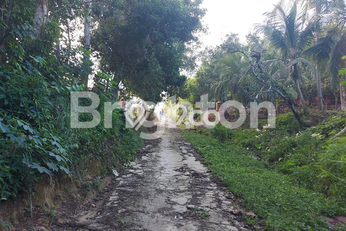 Lahan Kosong Dijual di Balikpapan Utara, Balikpapan, Luas 11700m2 Area Strategis Lahan Kosong Dijual di Balikpapan Utara, Balikpapan, Luas 11700m2 Area Strategis