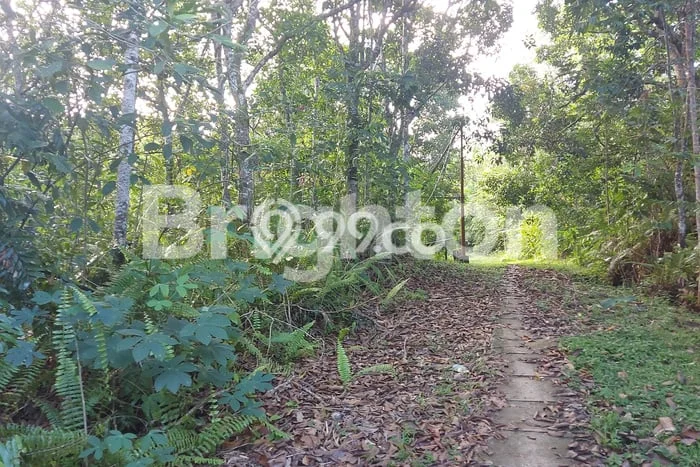 Lahan Kosong Dijual di Balikpapan Utara, Balikpapan, Luas 11700m2 Area Strategis Lahan Kosong Dijual di Balikpapan Utara, Balikpapan, Luas 11700m2 Area Strategis
