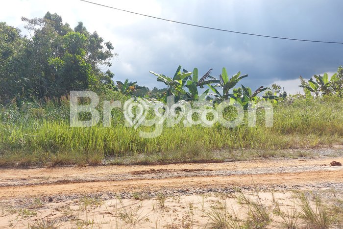 Lahan untuk Dijual Lokasi Balikpapan Utara, Balikpapan Luas 104000m2 SHM Lahan untuk Dijual Lokasi Balikpapan Utara, Balikpapan Luas 104000m2 SHM