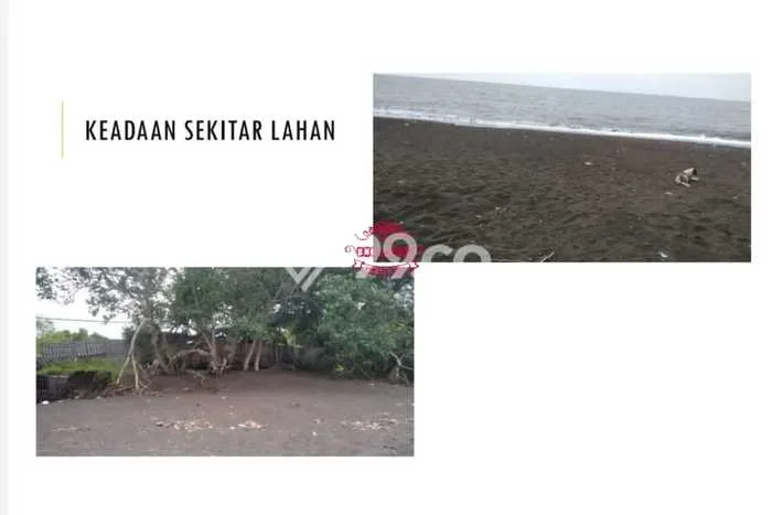 Jarang Ada! Tanah di Sawan Punya Luas 9750m2 SHM Jarang Ada! Tanah di Sawan Punya Luas 9750m2 SHM