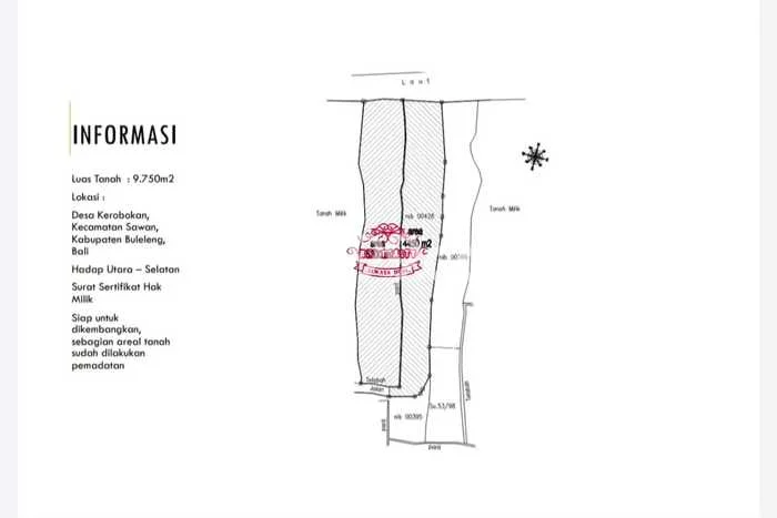Jarang Ada! Tanah di Sawan Punya Luas 9750m2 SHM Jarang Ada! Tanah di Sawan Punya Luas 9750m2 SHM