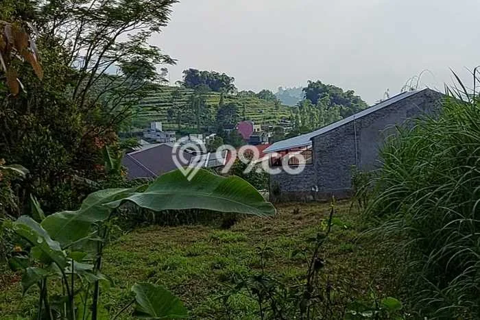 Tanah Dijual Lokasi Pujon Malang SHM Tanah Dijual Lokasi Pujon Malang SHM