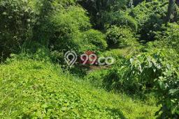 Lahan Strategis di Sukawati Dijual dengan Luas 50000m2 Lahan Strategis di Sukawati Dijual dengan Luas 50000m2