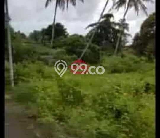 Kavling Tanah untuk Dijual di Saba, Gianyar, Luas 15900m2 Kavling Tanah untuk Dijual di Saba, Gianyar, Luas 15900m2