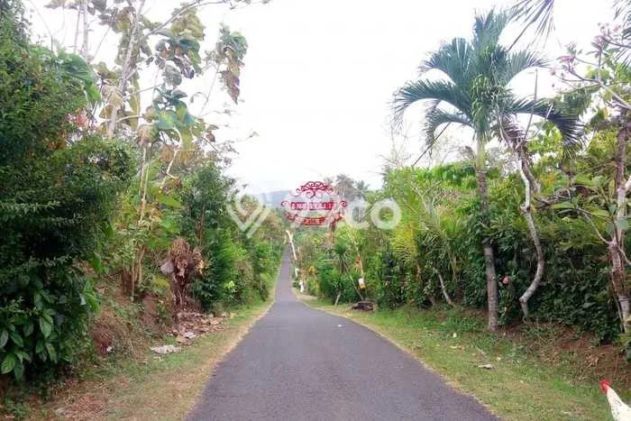 Kavling Tanah di Pekutatan Dijual Luas 36980m2 Legalitas SHM Kavling Tanah di Pekutatan Dijual Luas 36980m2 Legalitas SHM