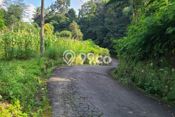 Tanah Komersial di Ngargoyoso, Luas 1035m², Lokasi Strategis Tanah Komersial di Ngargoyoso, Luas 1035m², Lokasi Strategis