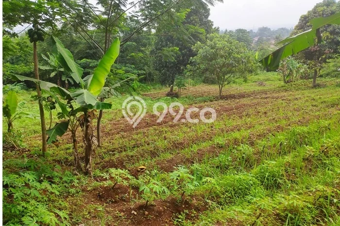 Lahan Dijual Lokasi Cimahi Utara, Cimahi dengan Luas Tanah 2510m2 dan Status SHM Lahan Dijual Lokasi Cimahi Utara, Cimahi dengan Luas Tanah 2510m2 dan Status SHM