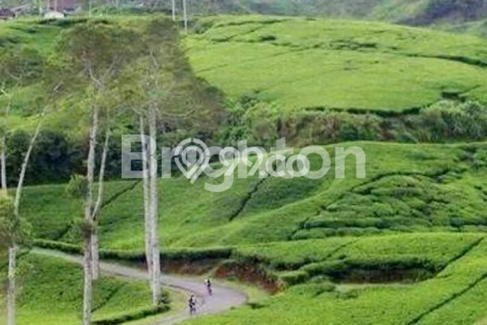Tanah untuk Dijual di Jenawi Karanganyar Luas 2200m2 Tanah untuk Dijual di Jenawi Karanganyar Luas 2200m2