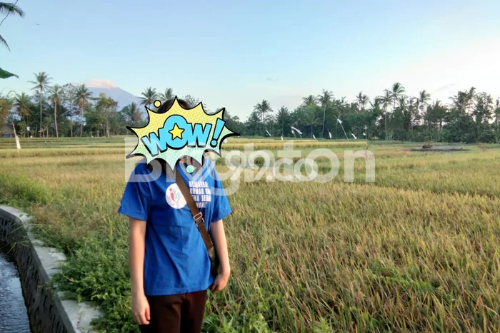 Tanah Dijual Lokasi Licin, Banyuwangi dengan Luas Tanah 2970m2 dan Status SHM Tanah Dijual Lokasi Licin, Banyuwangi dengan Luas Tanah 2970m2 dan Status SHM