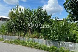 Tanah di Tampan, Pekanbaru Luas 966m2 Dijual Segera Tanah di Tampan, Pekanbaru Luas 966m2 Dijual Segera