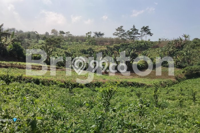 Tanah di Bumiaji, Batu Luas 5000m2 Dijual Segera Tanah di Bumiaji, Batu Luas 5000m2 Dijual Segera