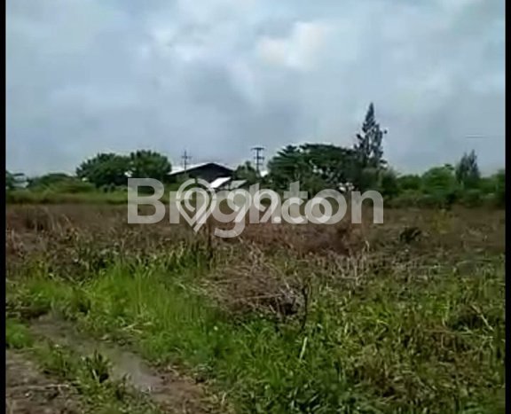 Lahan untuk Dijual di Widang Tuban Luas 40000m2 Lahan untuk Dijual di Widang Tuban Luas 40000m2