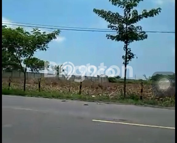 Lahan untuk Dijual di Widang Tuban Luas 40000m2 Lahan untuk Dijual di Widang Tuban Luas 40000m2