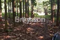 Lahan Strategis di Babakan Madang Dijual dengan Luas 27000m2 Lahan Strategis di Babakan Madang Dijual dengan Luas 27000m2