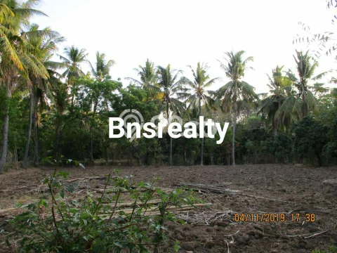 Lahan Dijual Lokasi Tejakula, Buleleng dengan Luas Tanah 46000m2 dan Status SHM Lahan Dijual Lokasi Tejakula, Buleleng dengan Luas Tanah 46000m2 dan Status SHM