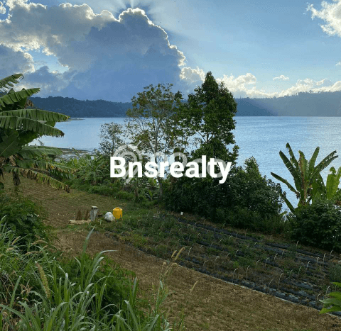 Dijual Tanah di Tabanan, Luas 9800m2 SHM Dijual Tanah di Tabanan, Luas 9800m2 SHM