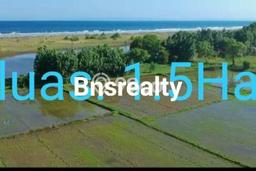 Tanah Dijual Area Strategis di Delodberawah Jembrana 15000m2 Tanah Dijual Area Strategis di Delodberawah Jembrana 15000m2