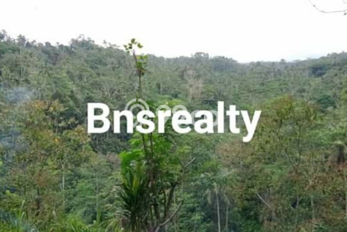 Lahan Kosong Dijual di Tampaksiring, Gianyar, Luas 1000m2 Area Strategis Lahan Kosong Dijual di Tampaksiring, Gianyar, Luas 1000m2 Area Strategis