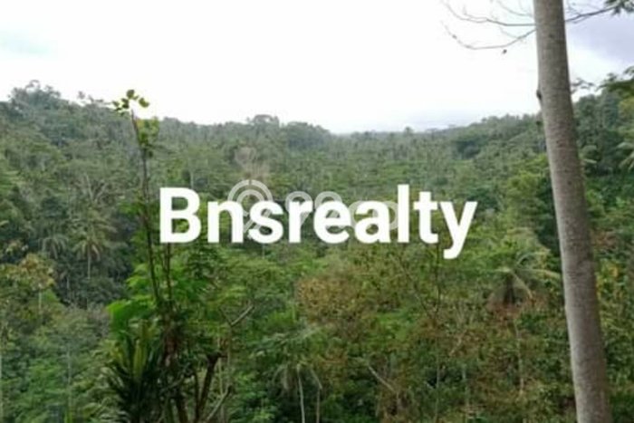 Lahan Kosong Dijual di Tampaksiring, Gianyar, Luas 1000m2 Area Strategis Lahan Kosong Dijual di Tampaksiring, Gianyar, Luas 1000m2 Area Strategis