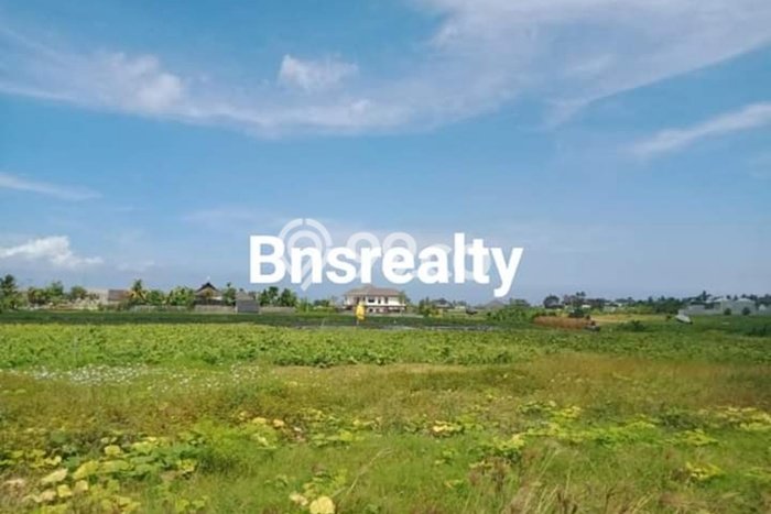 Tanah Kavling Dijual di Badung dengan Spesifikasi 2000m2 Tanah Kavling Dijual di Badung dengan Spesifikasi 2000m2