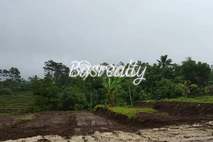 Tanah Dijual Lokasi Penebel, Tabanan Luas 20000m2 Legalitas Aman Tanah Dijual Lokasi Penebel, Tabanan Luas 20000m2 Legalitas Aman