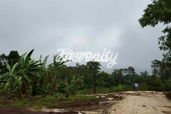 Tanah Dijual Lokasi Penebel, Tabanan Luas 20000m2 Legalitas Aman Tanah Dijual Lokasi Penebel, Tabanan Luas 20000m2 Legalitas Aman