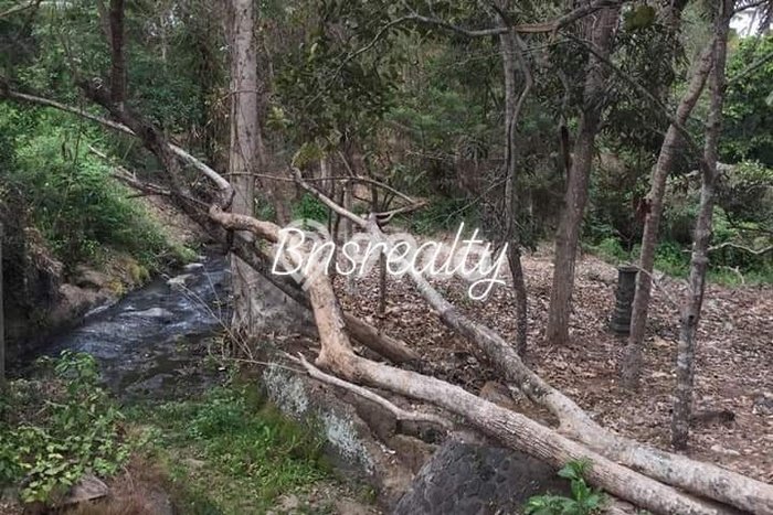 Tanah Kavling Dijual di Badung dengan Spesifikasi 3700m2 Tanah Kavling Dijual di Badung dengan Spesifikasi 3700m2