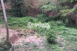 Untuk Dijual Tanah di Badung, Luas 3700m2 SHM Untuk Dijual Tanah di Badung, Luas 3700m2 SHM