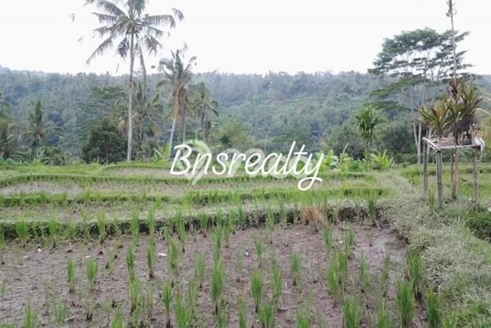 Kavling Tanah untuk Dijual di Buahan, Gianyar, Luas 15400m2 Kavling Tanah untuk Dijual di Buahan, Gianyar, Luas 15400m2